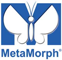 Metamorph Logo